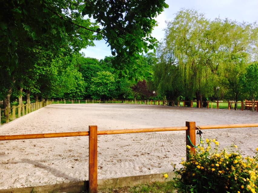 carriere-sable-chevaux-ecurie-la-fourasse-Luneville-competition-CSO-obstacles-loisirs-dressage