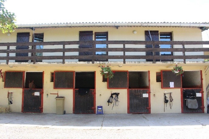 pension-cheval-chevaux- luneville-nancy-54